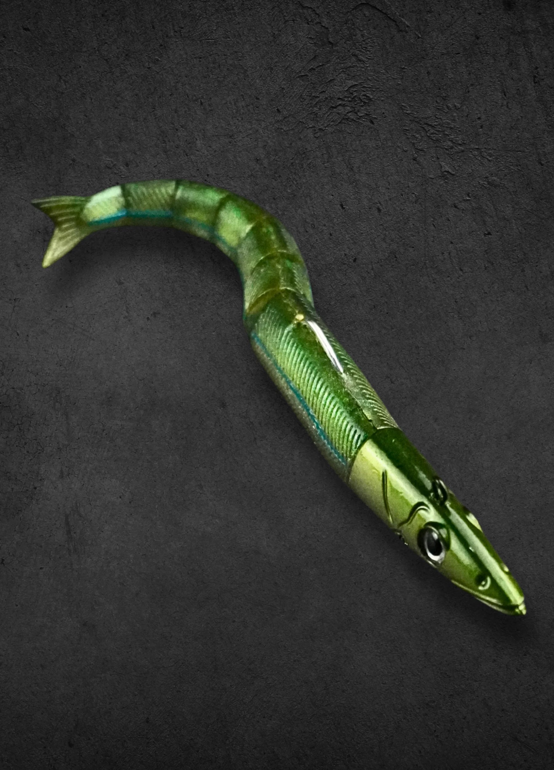 Renaissance Eels V2.0