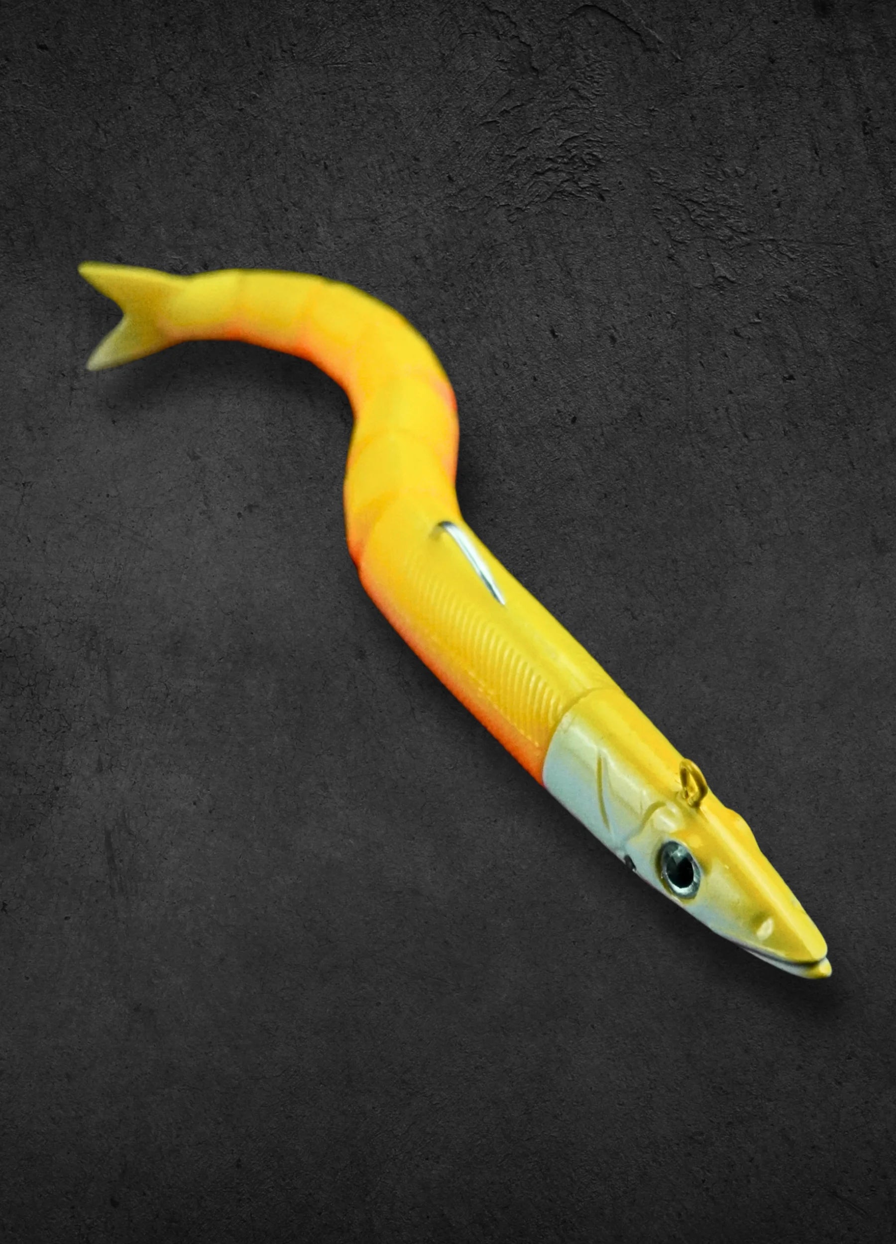 Renaissance Eels V2.0