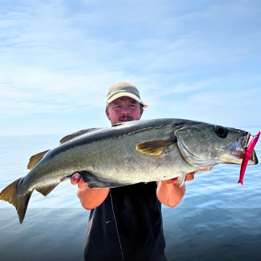 How to catch Pollock: Top 5 Tips