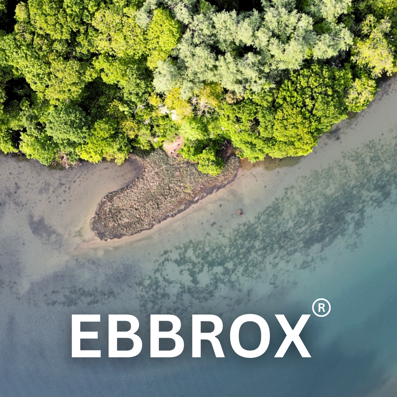 EBBROX®: The New Home of Lazy Lures