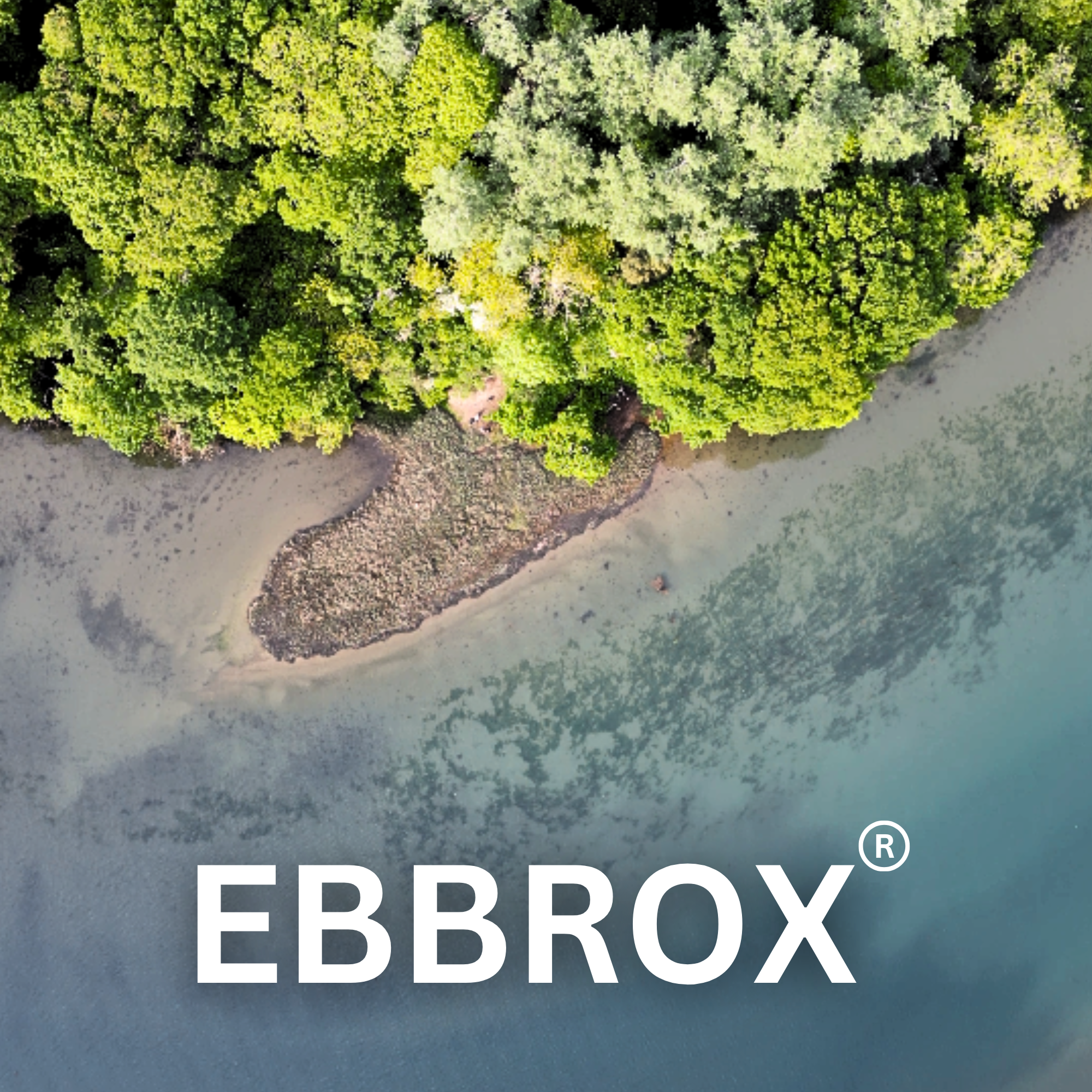 EBBROX®: The New Home of Lazy Lures
